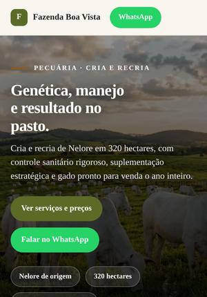 Fazenda Boa Vista — modelo Pecuária · cria e recria